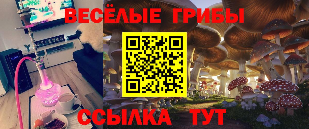 Пугачёв  где купить   Вход с VPN  Псилоцибиновые грибы мухоморы 