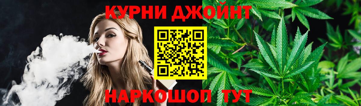 Конопля гибрид Пугачёв